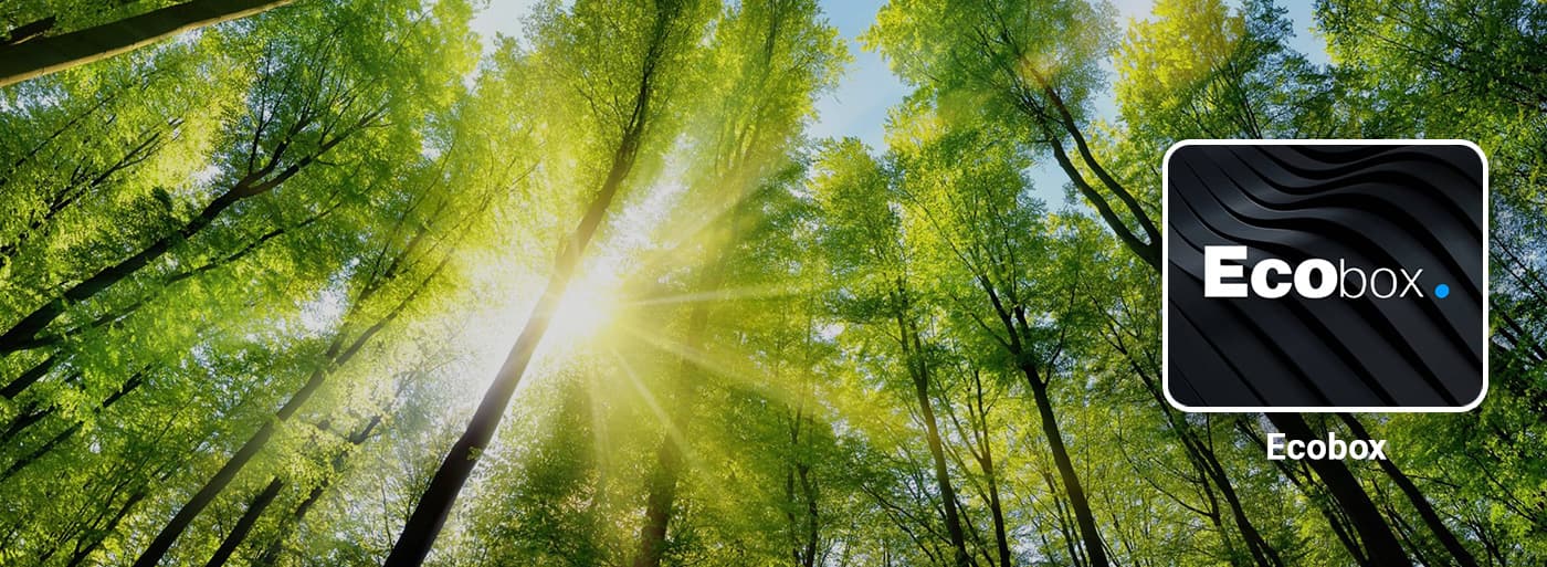 Ecobox application Sunny green forest